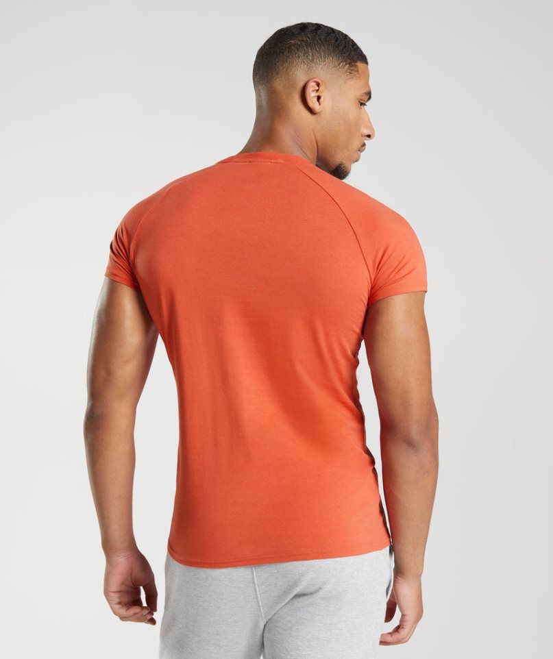 Men's Gymshark Apollo T-Shirts Orange | CA DA7501